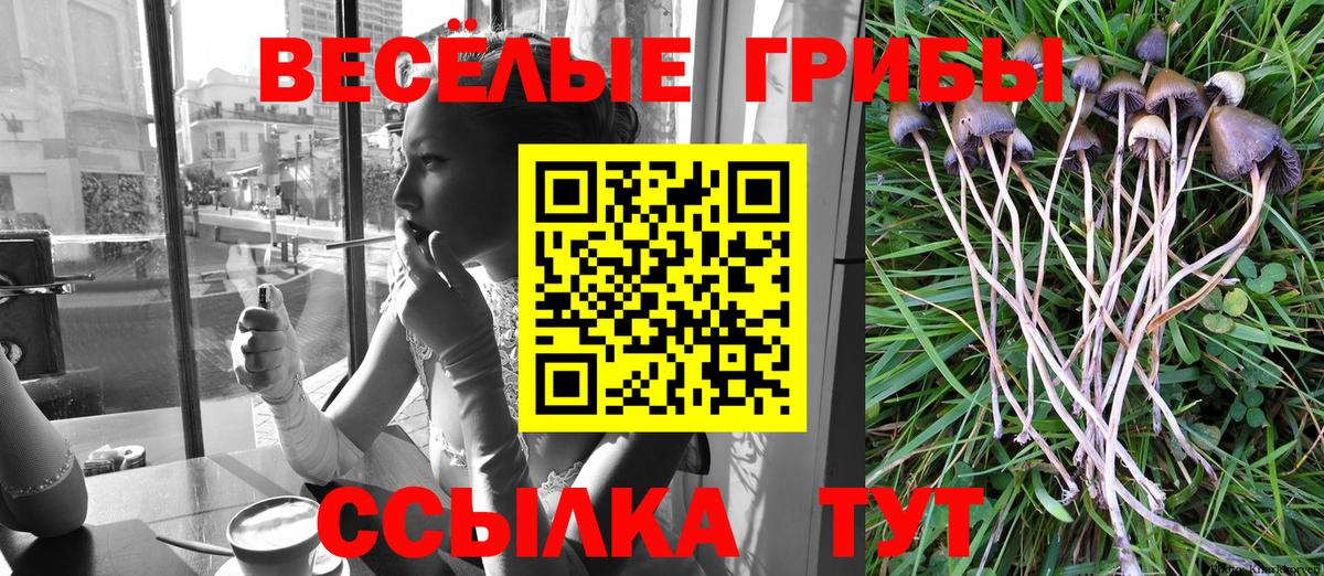что такое   Вход с VPN  Новосибирск  Псилоцибиновые грибы мухоморы 