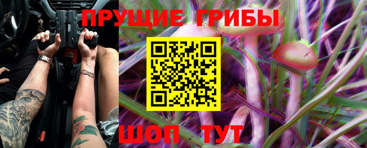 Псилоцибиновые грибы MAGIC MUSHROOMS  Новосибирск  Псилоцибиновые грибы прущие грибы 