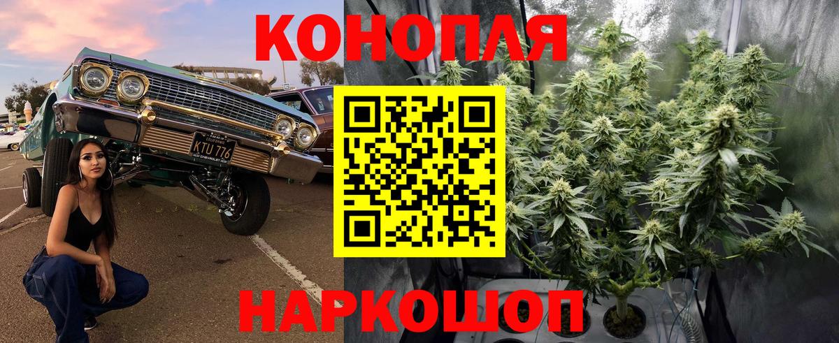 Бошки марихуана марихуана  Марихуана VHQ  Новосибирск  Вход с VPN  Марихуана индика 